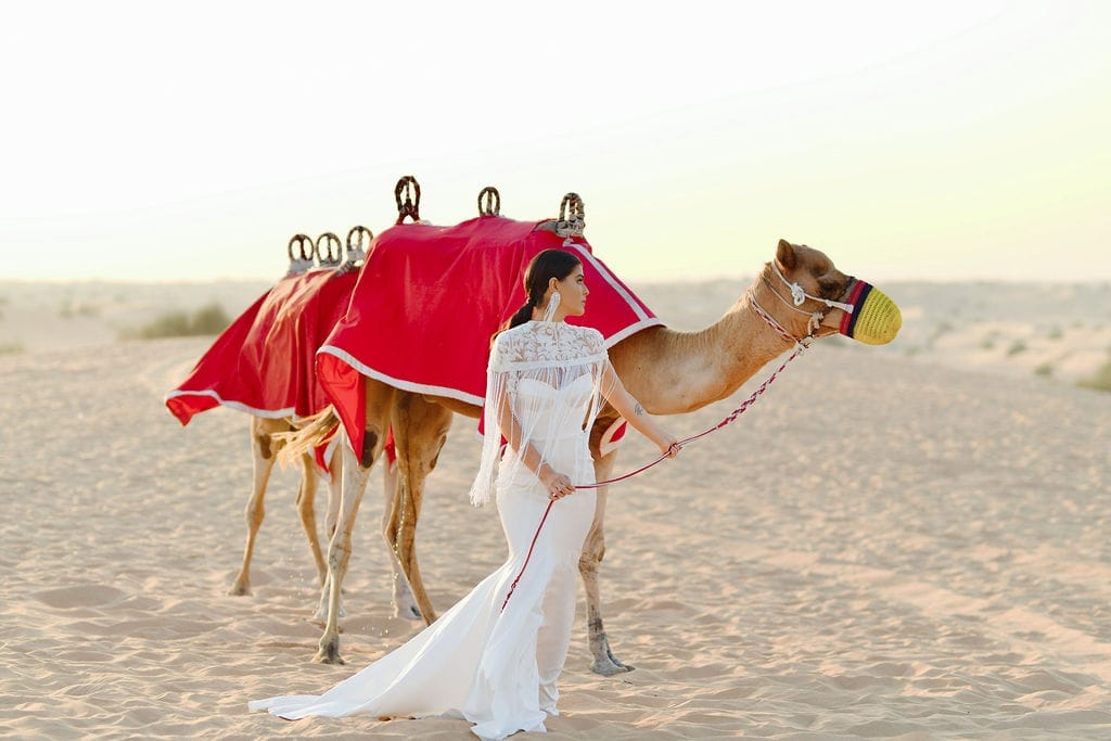 Dubai desert dreams