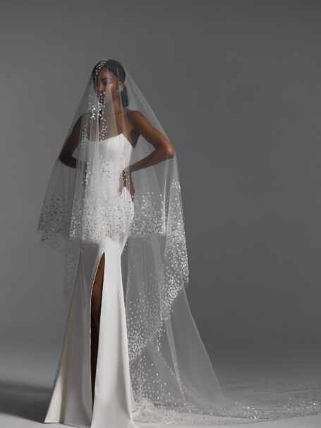 Veils 2024 NV2401 3