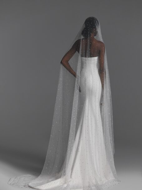 Veils 2024 NV2402 2
