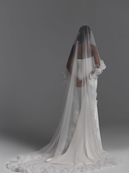 Veils 2024 NV2403 2