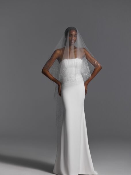 Veils 2024 NV2404 2