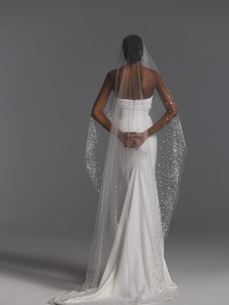 Veils 2024 NV2405 2