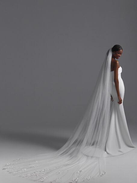 Veils 2024 NV2408 1