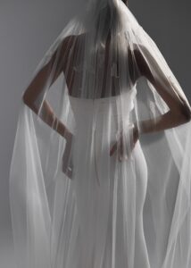 Veils 2024 nv2410 2