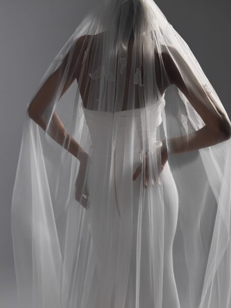 Veils 2024 NV2410 2